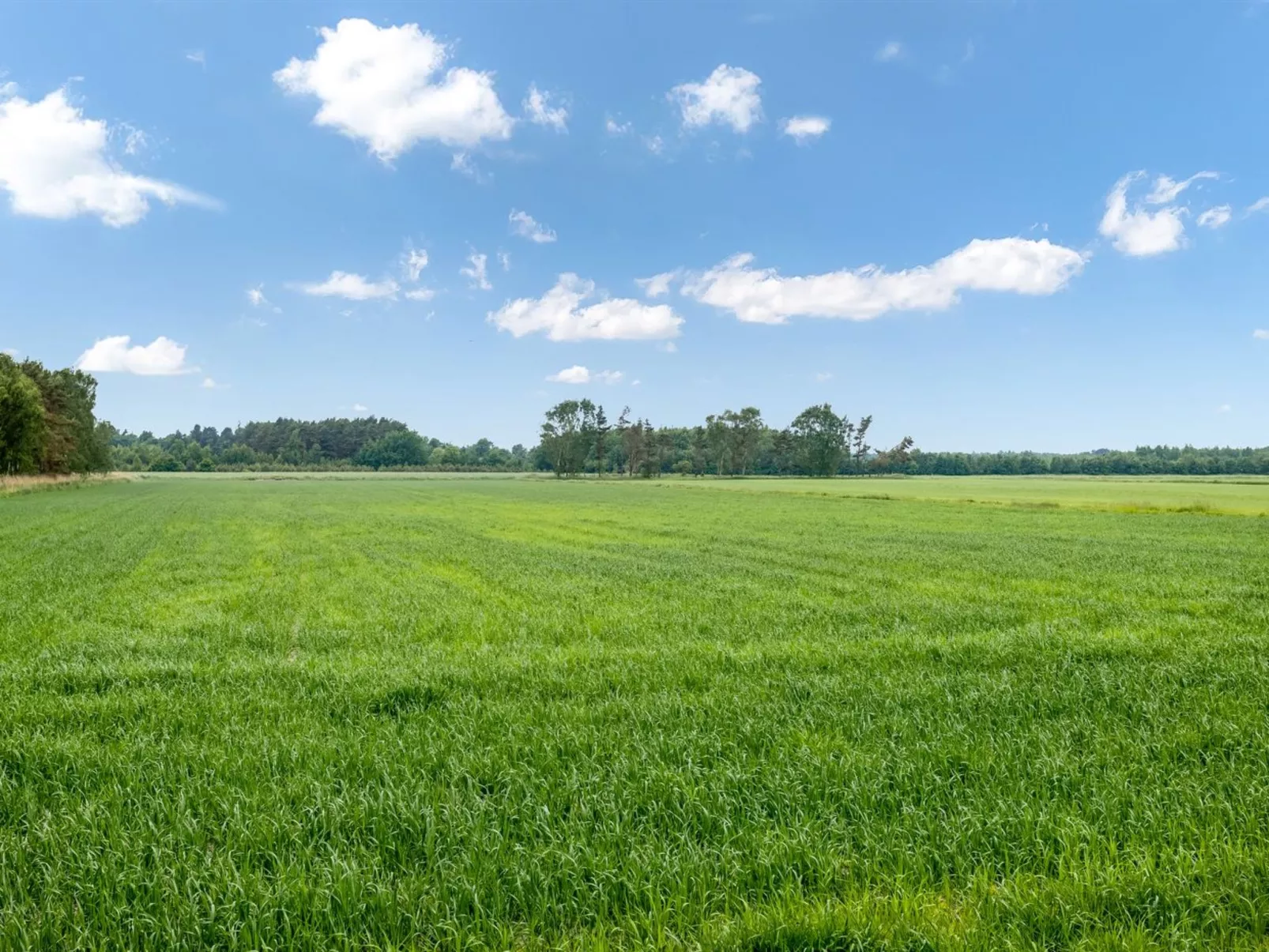 "Ema" - 5km from the sea-Draußen