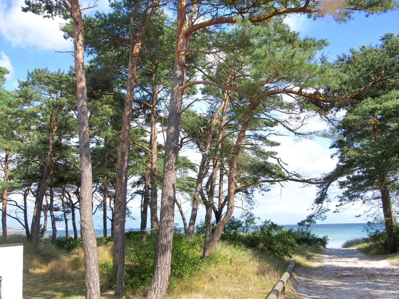 "Muriel" - 150m from the sea-Draußen