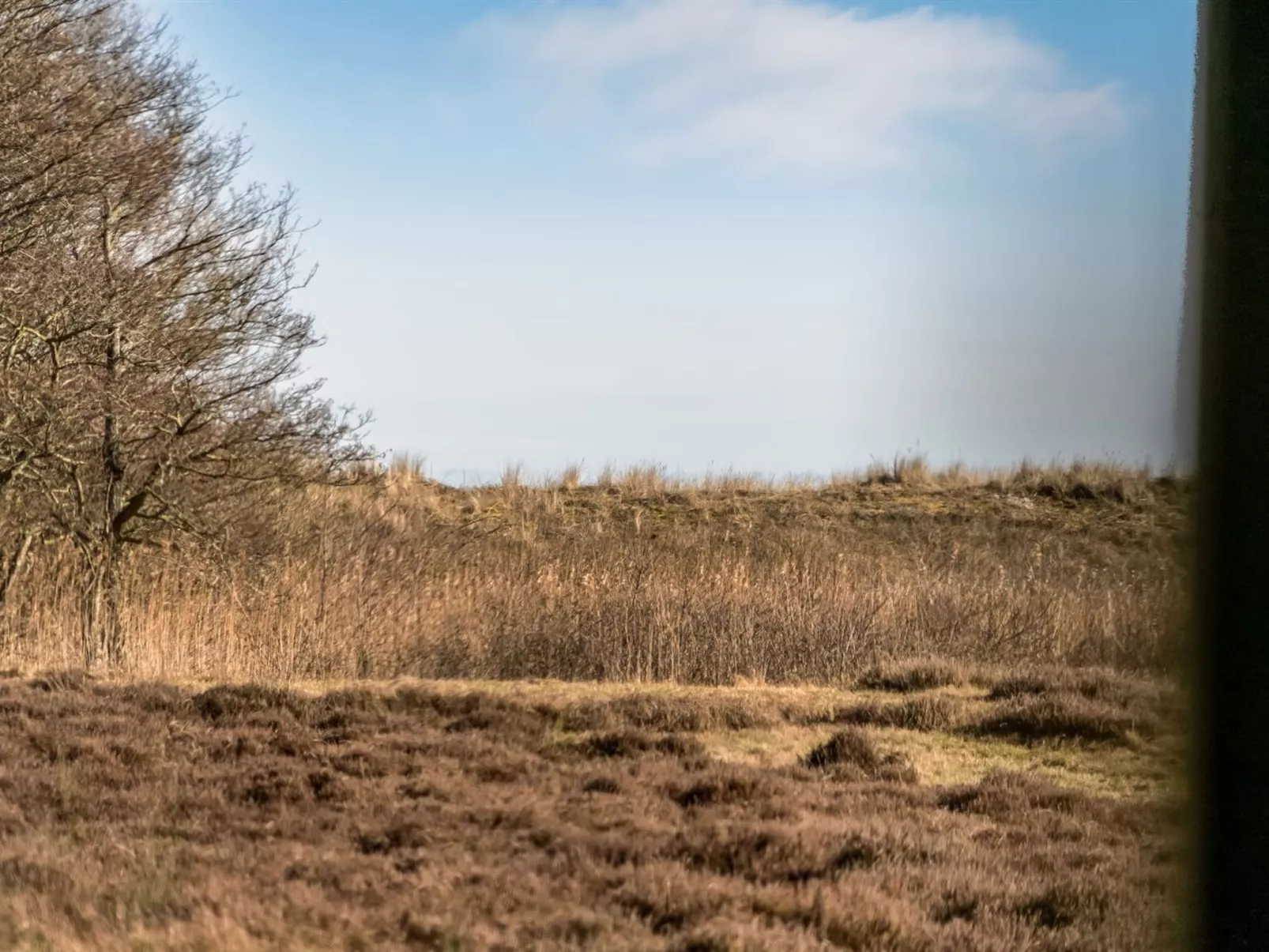 "Jyrki" - 100m from the sea-Draußen