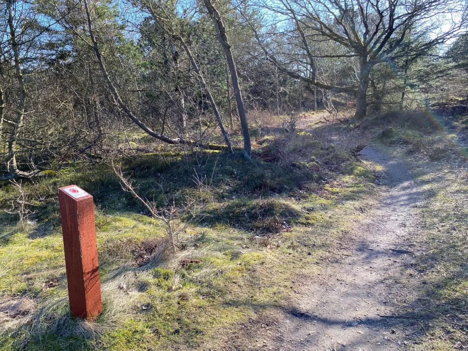 "Marilisa" - 700m to the fjord-Draußen