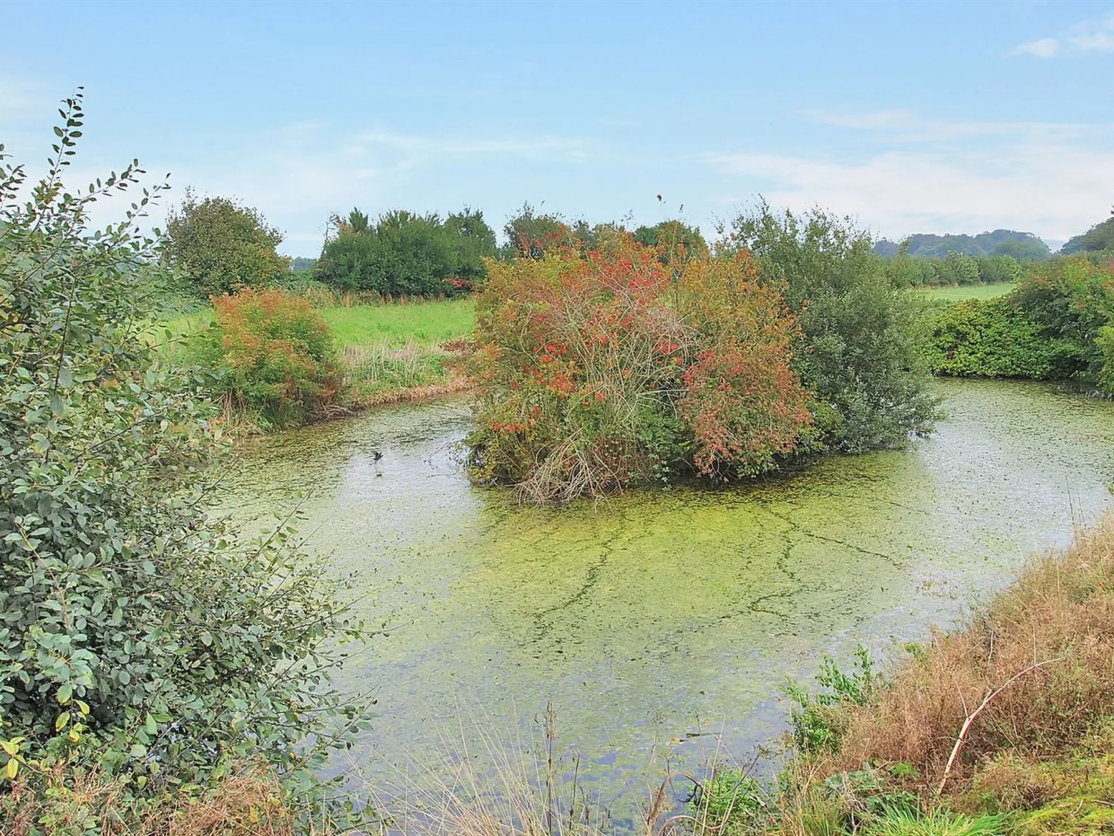 "Iorund" - 550m from the sea-Draußen