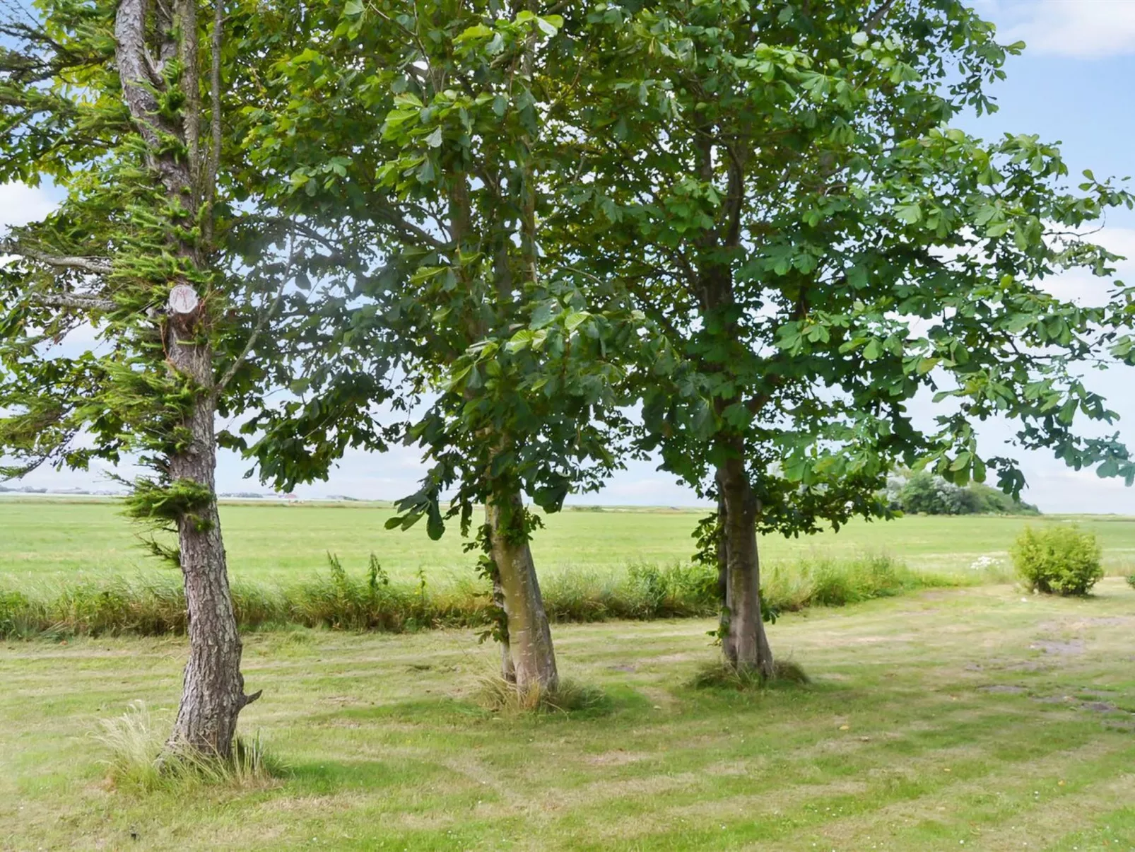 "Juuso" - 20km from the sea-Outside