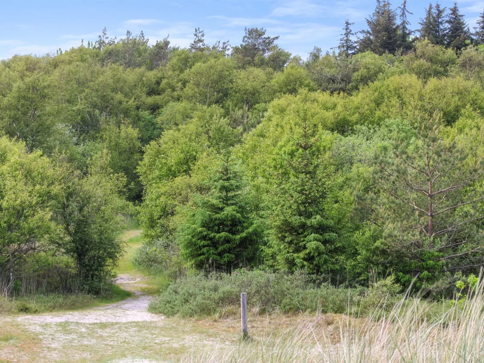 "Ingalise" - 500m from the sea-Draußen