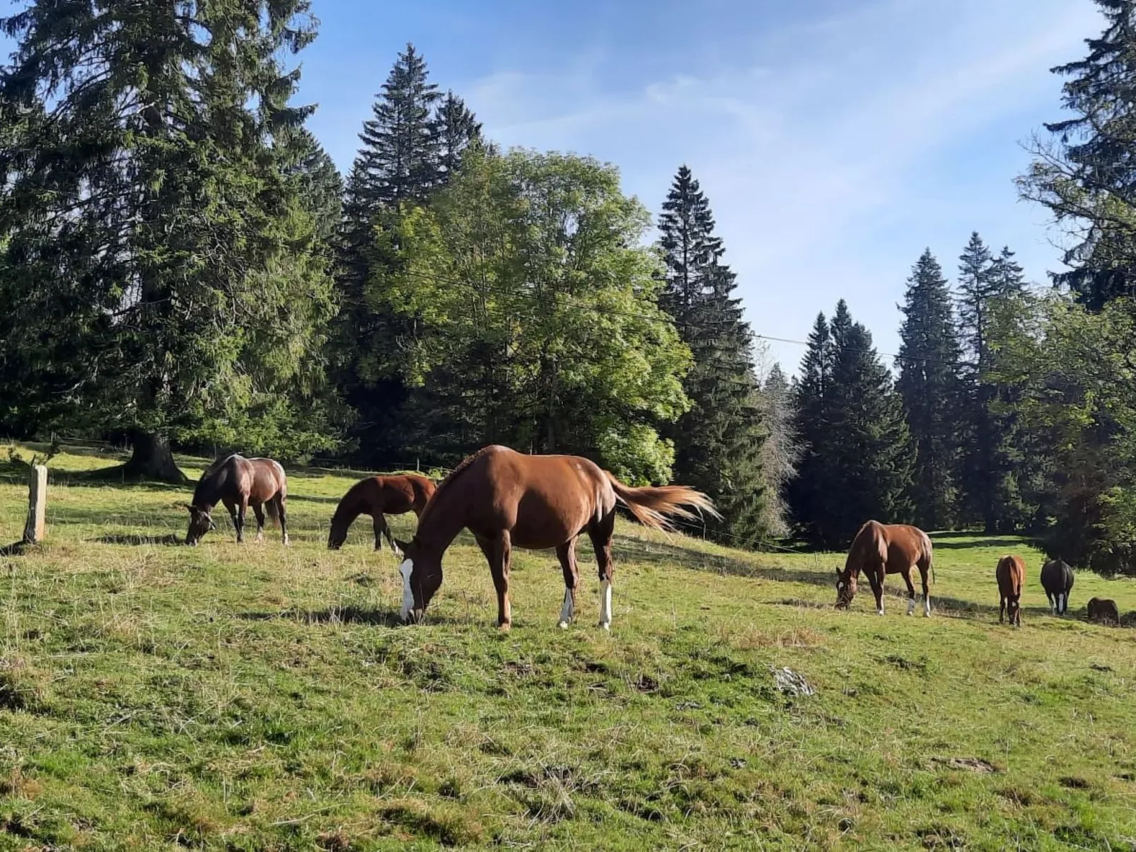 Maison de vacances - LM-Draußen