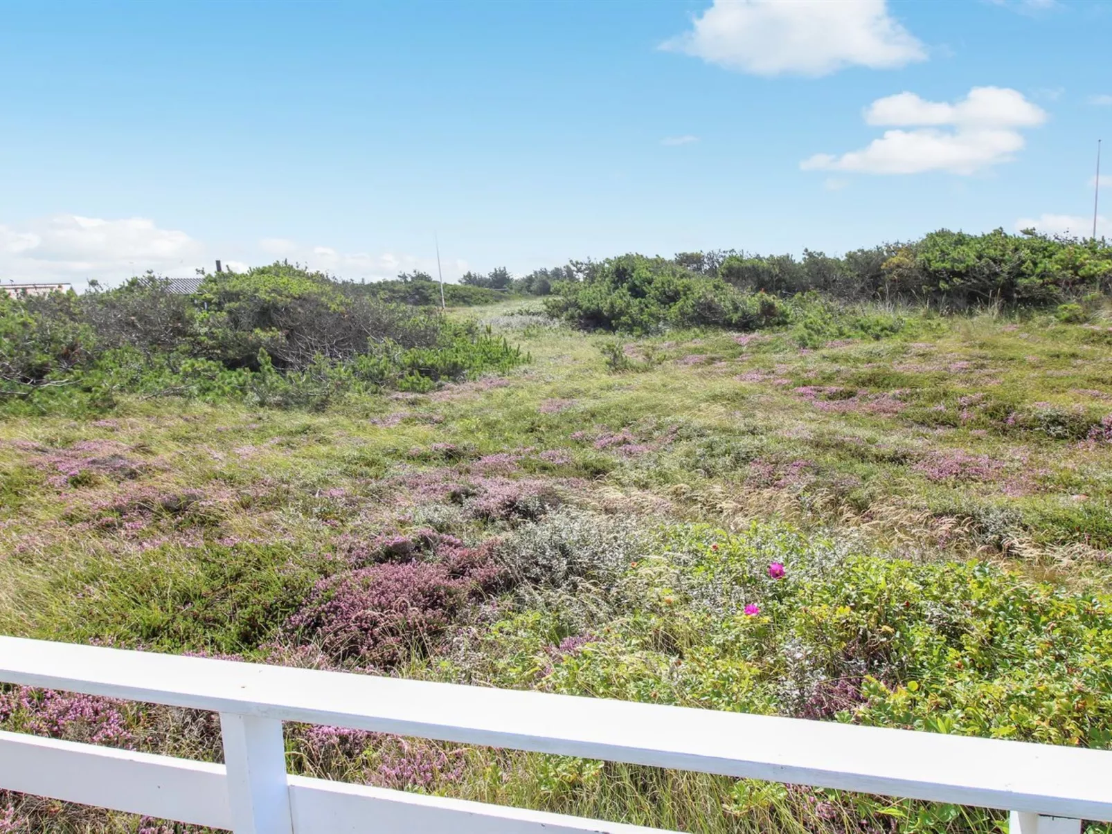 "Janni" - 250m from the sea-Outside