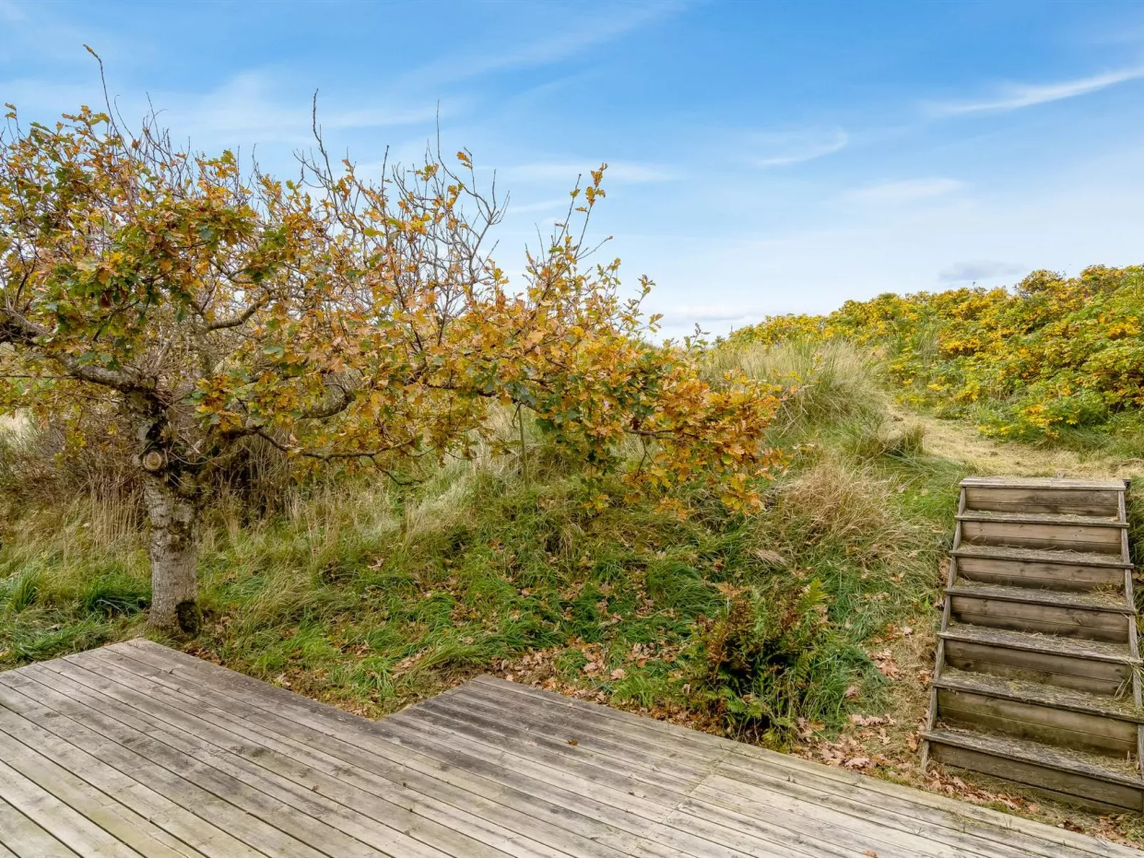 "Hunved" - 500m from the sea-Draußen