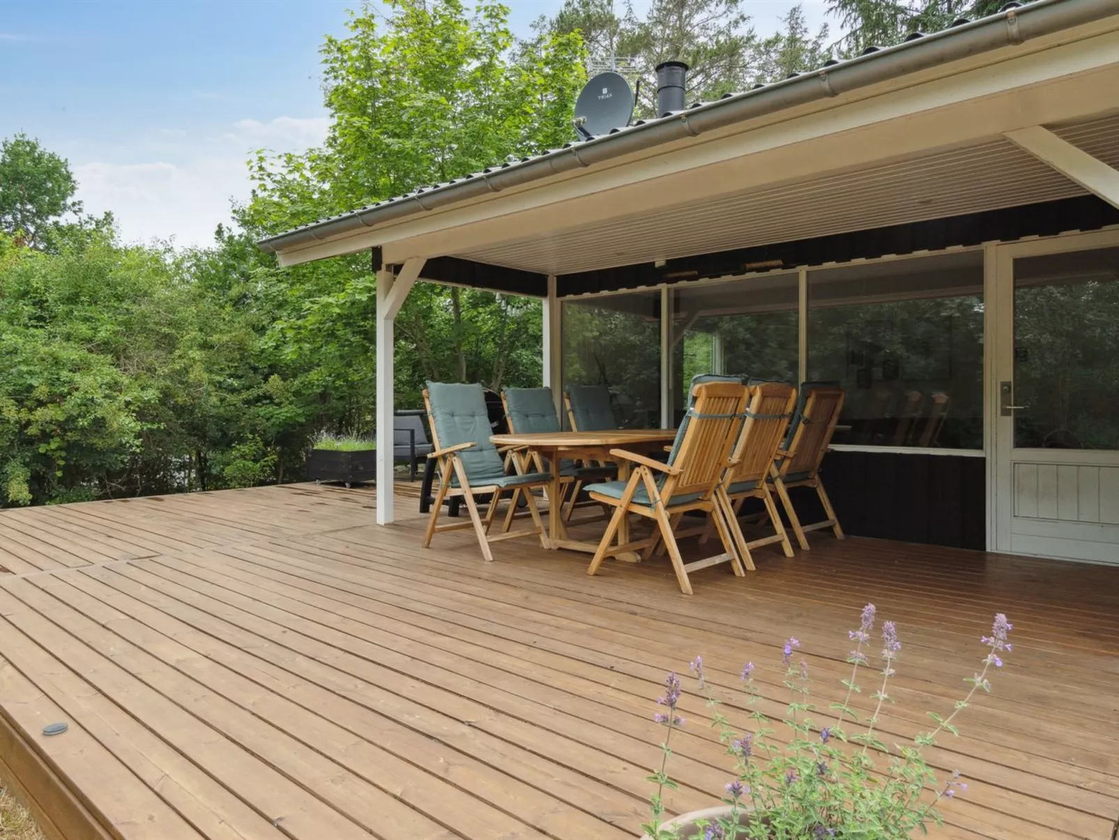 "Adam" -  from the sea-Dehors