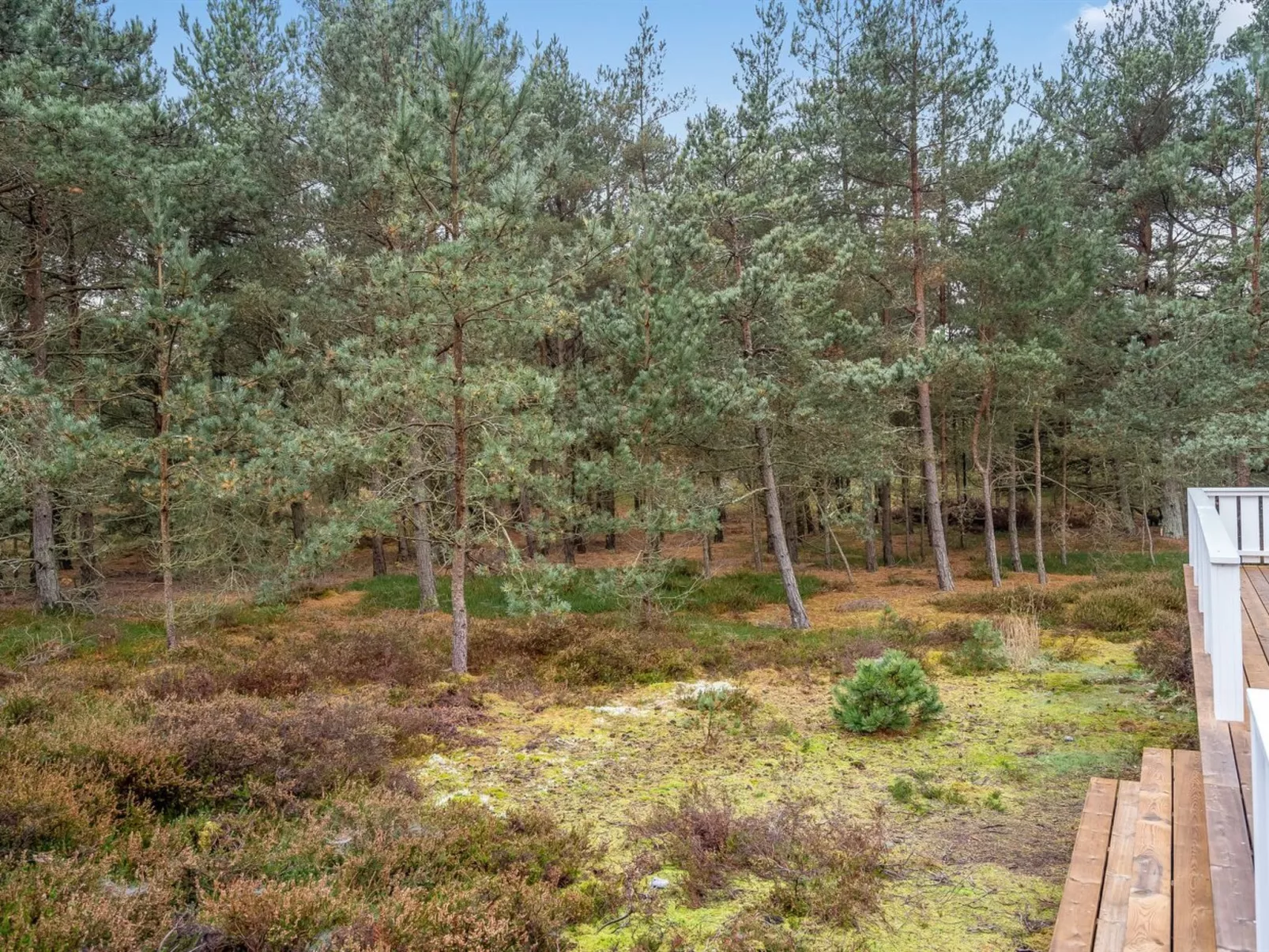 "Syrine" - 300m from the sea-Outside