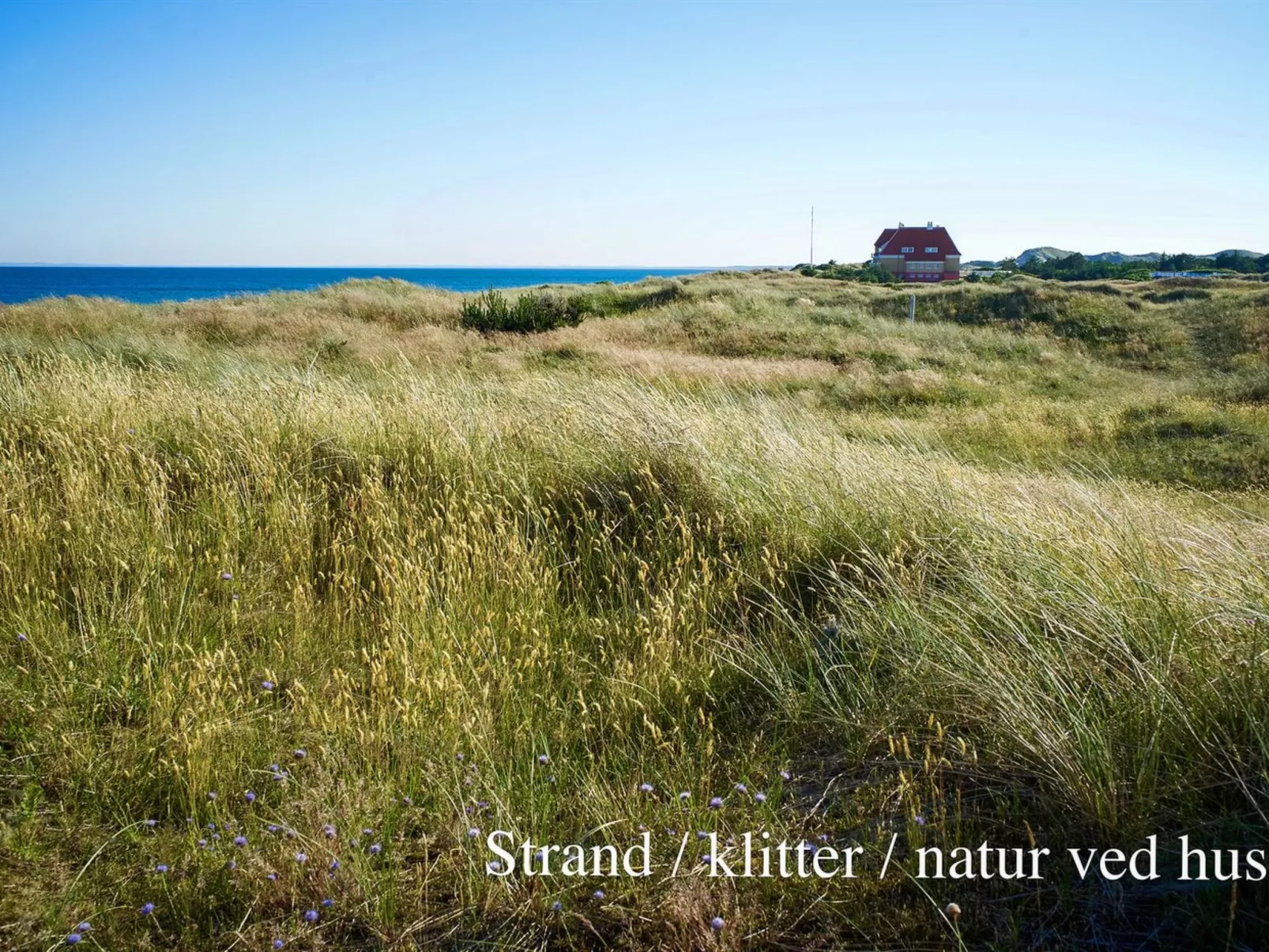 "Elle" - 50m from the sea-Outside