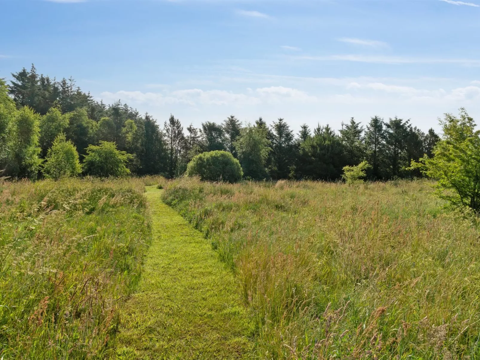 "Elsia" - 1.5km to the fjord-Outside