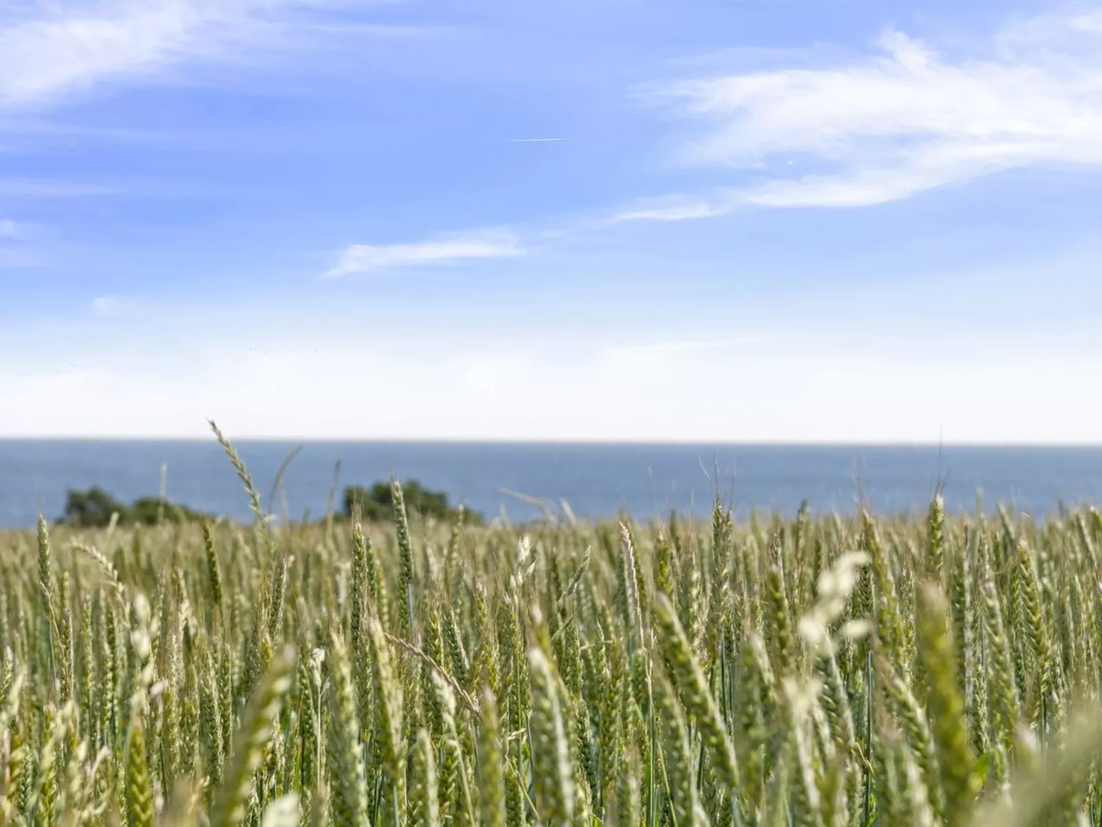 "Gunhilde" - 400m from the sea - Outside