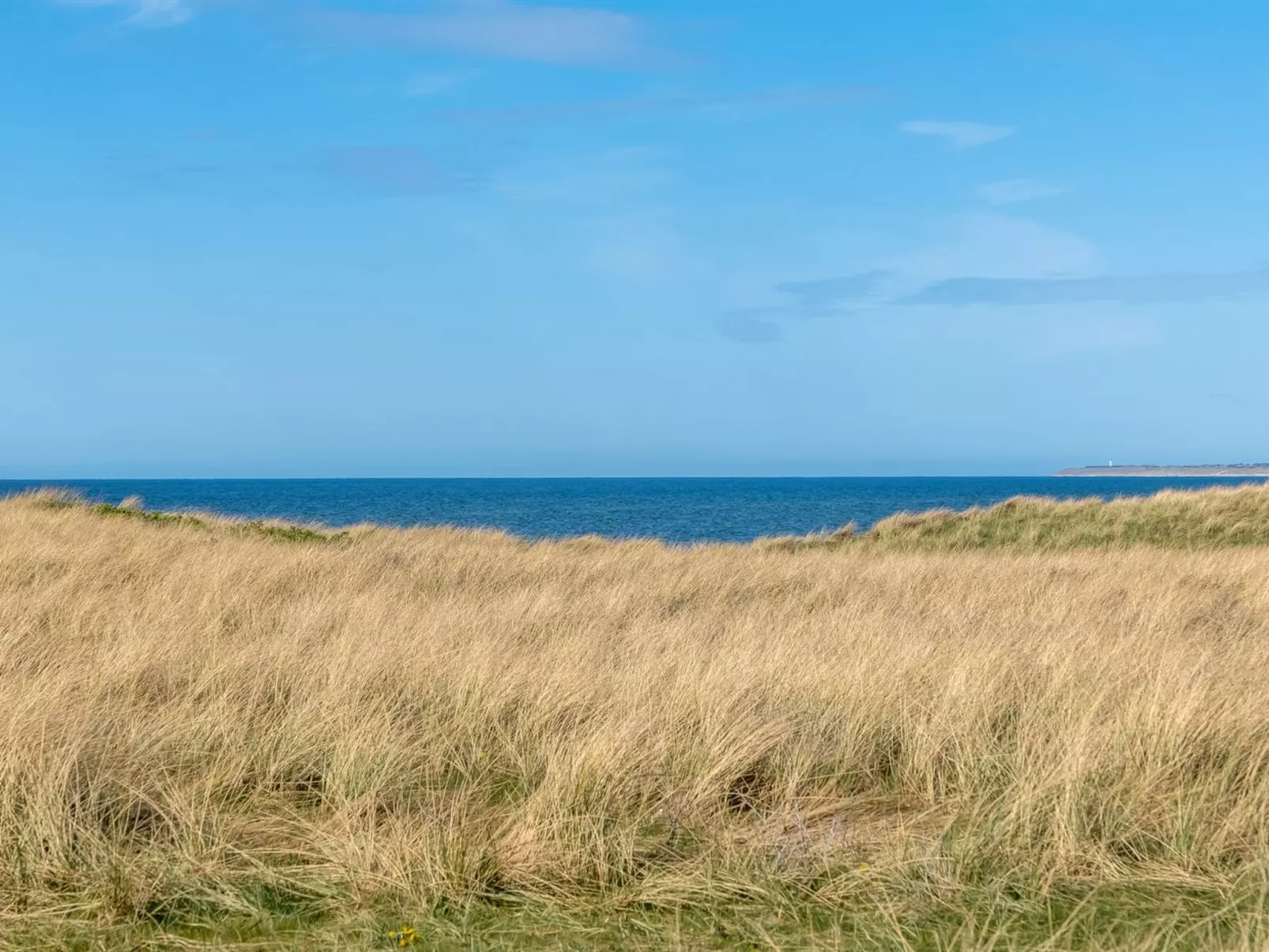 "Stintje" - 20m from the sea-Outside