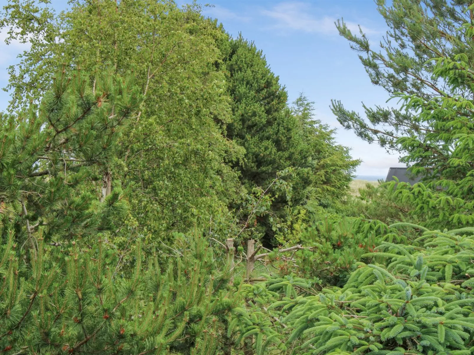 "Flora" - 150m from the sea-Dehors