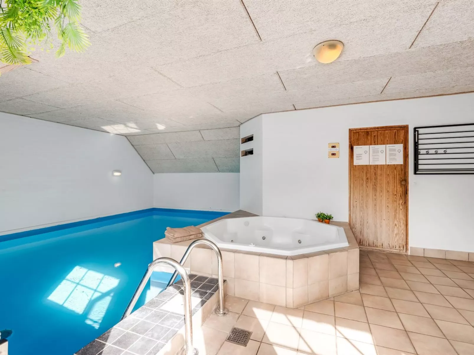 "Prohor" - 10.5km from the sea-Draußen