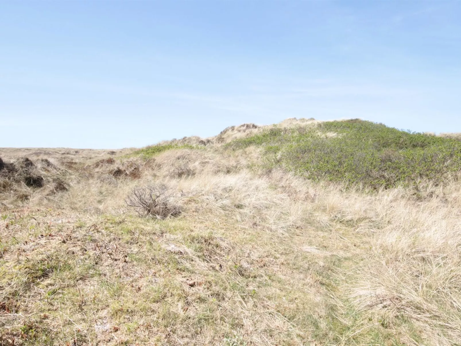 "Aise" - 75m from the sea-Dehors