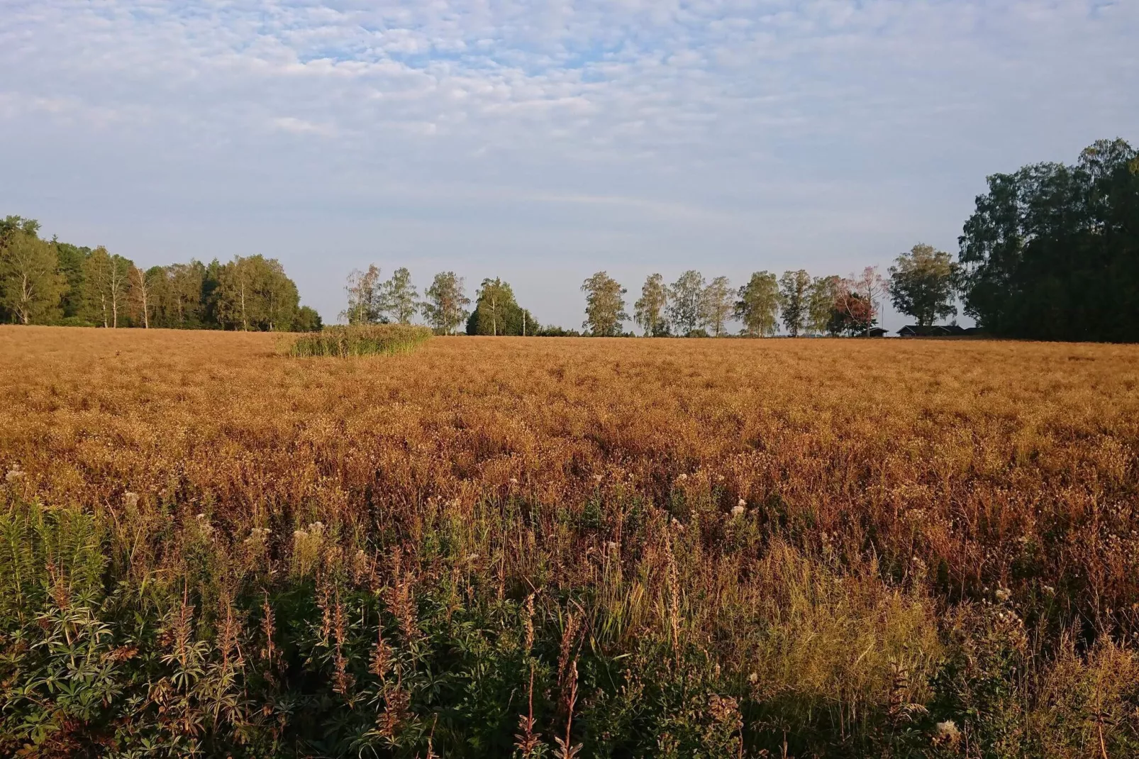 Maison de vacances pour 6 a HAMMARÖ-By Traum-Vue sur l'eau