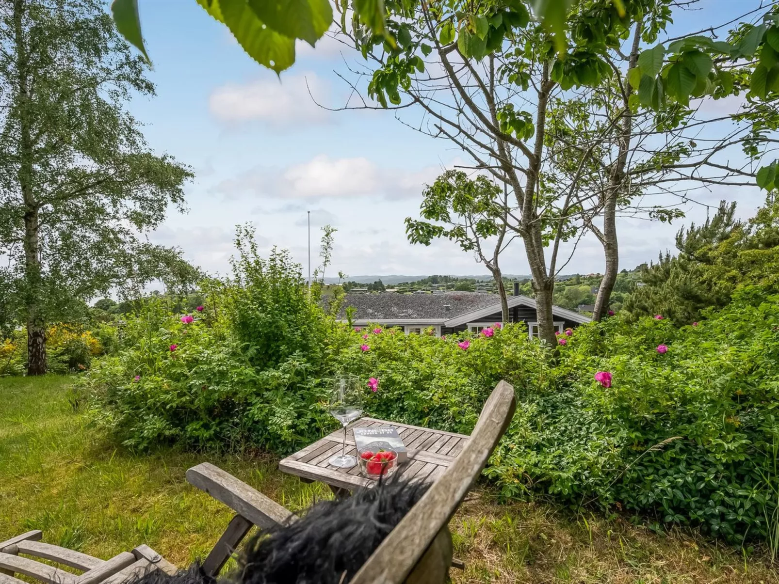 "Harda" - 800m from the sea-Outside