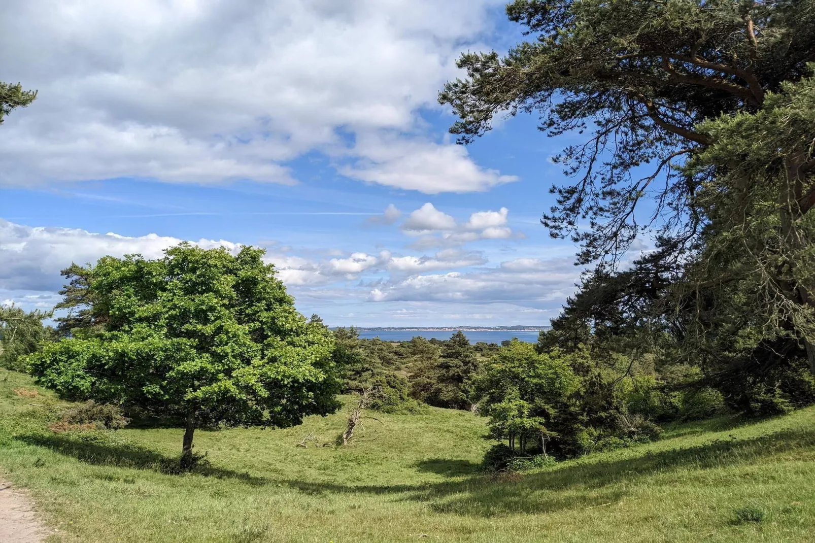 6 person holiday home in Knebel-By Traum-Untagged