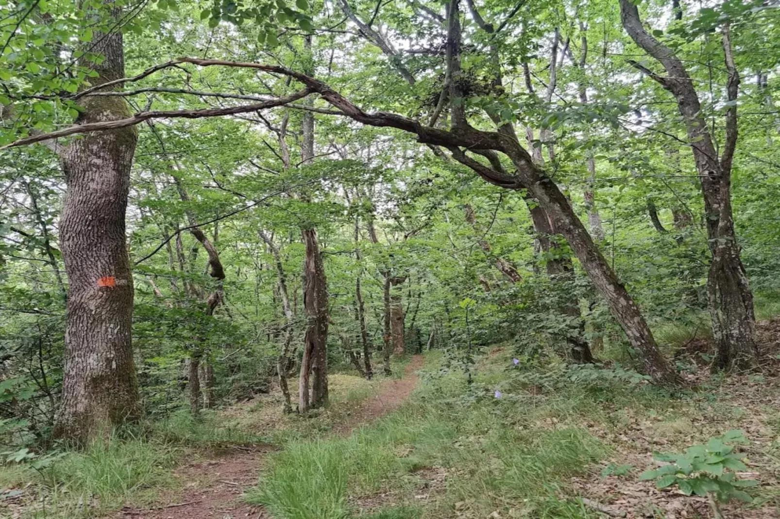 9 person holiday home in Ljungbyhed-By Traum-Untagged