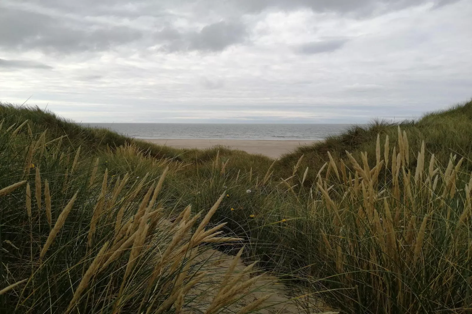 Maison de vacances pour 6 a Pandrup-By Traum-Non tagué