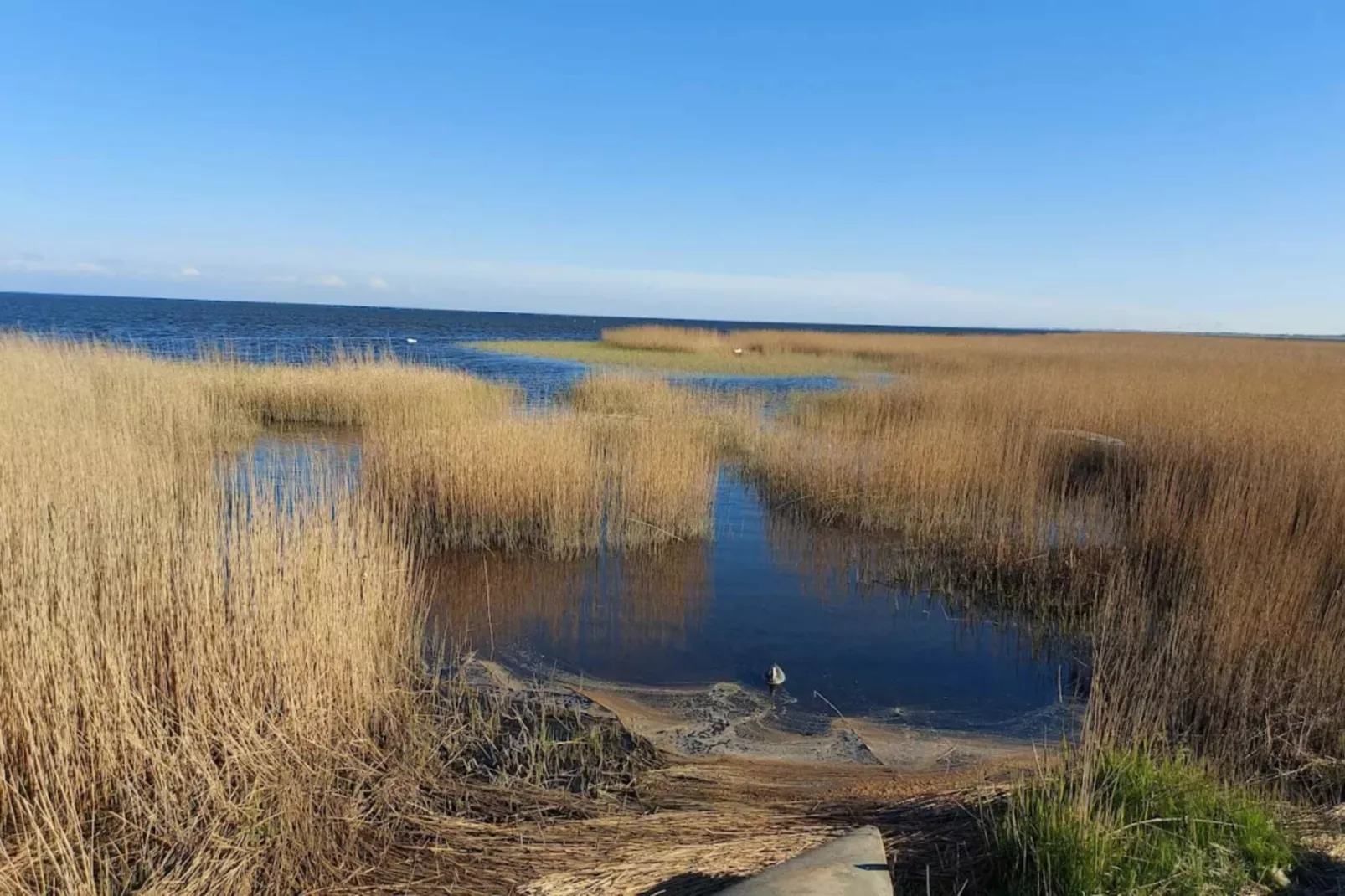 Maison de vacances pour 4 a Ringkøbing-By Traum-Vue sur l'eau