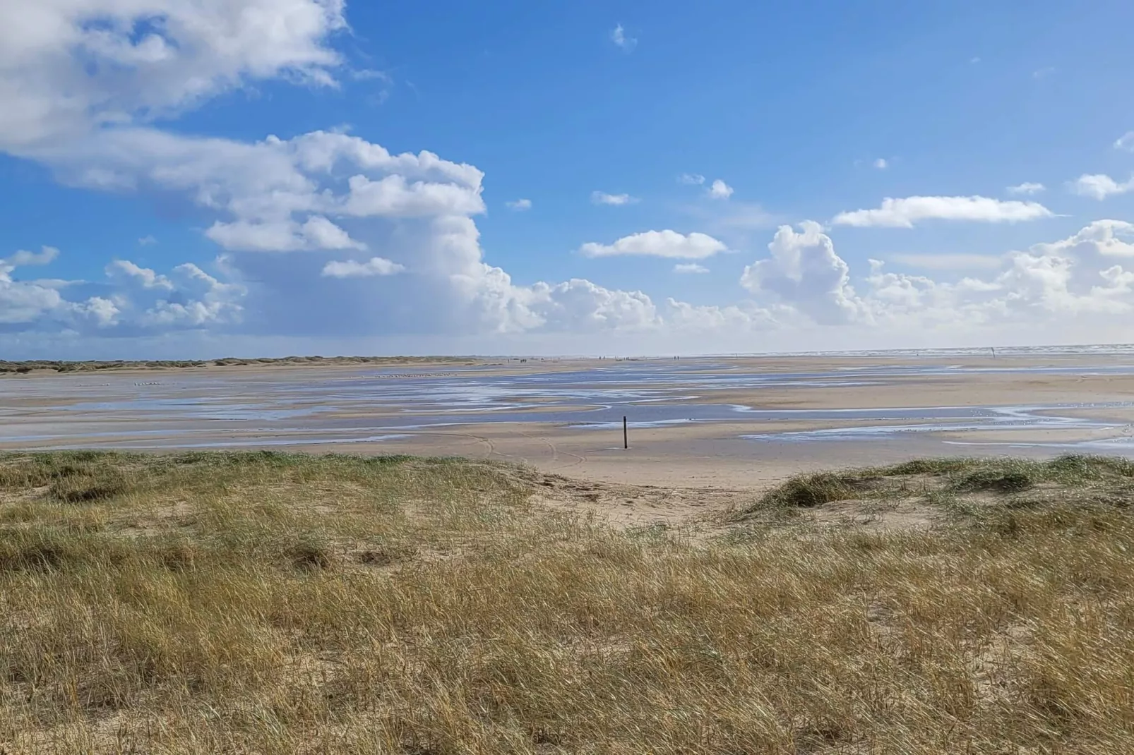 6 Personen Ferienhaus in Fanø-By Traum