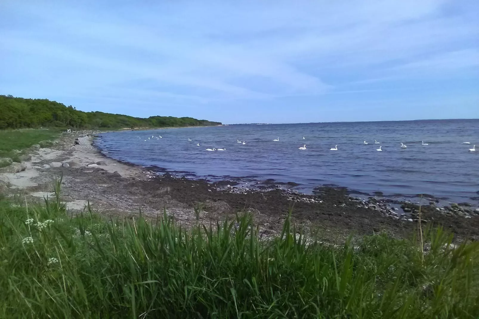 Maison de vacances pour 4 a Karrebæksminde-Vue sur l'eau