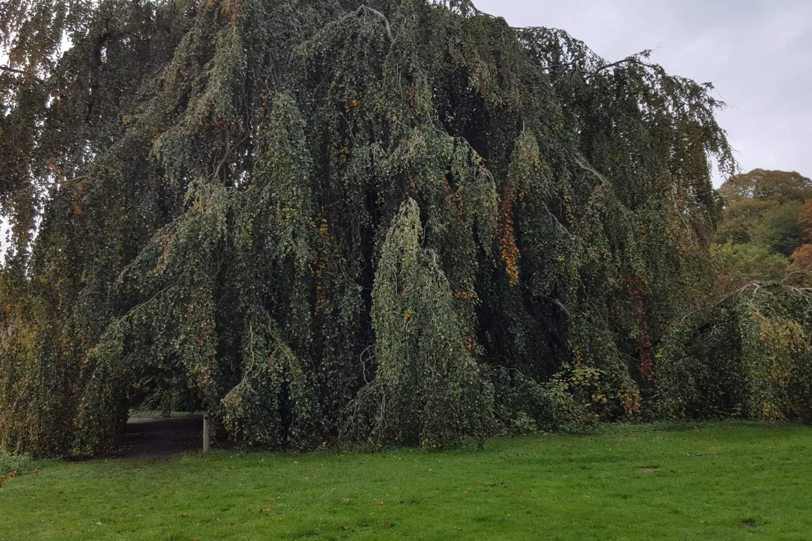 8 Personen Ferienhaus in Øster Assels-By Traum-Nicht zugeordnet