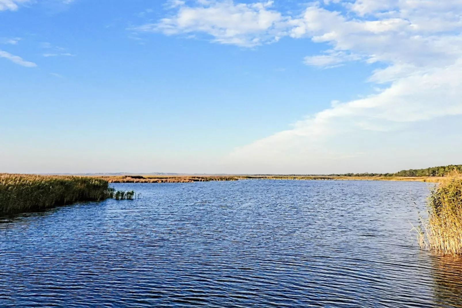 5 Sterne Ferienhaus in Vig-By Traum-Wasserblick