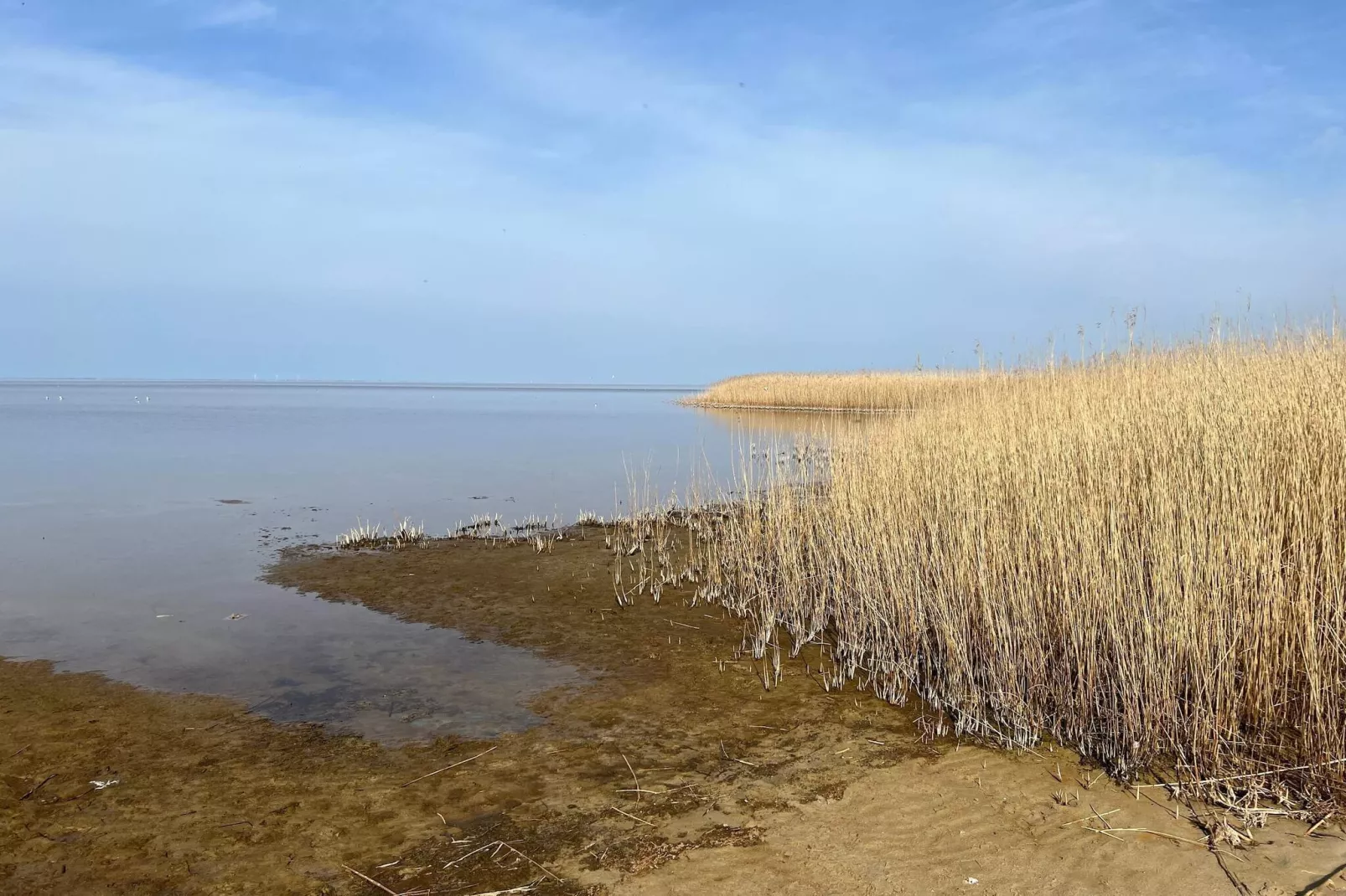 Maison de vacances pour 5 a Skjern-By Traum-Vue sur l'eau