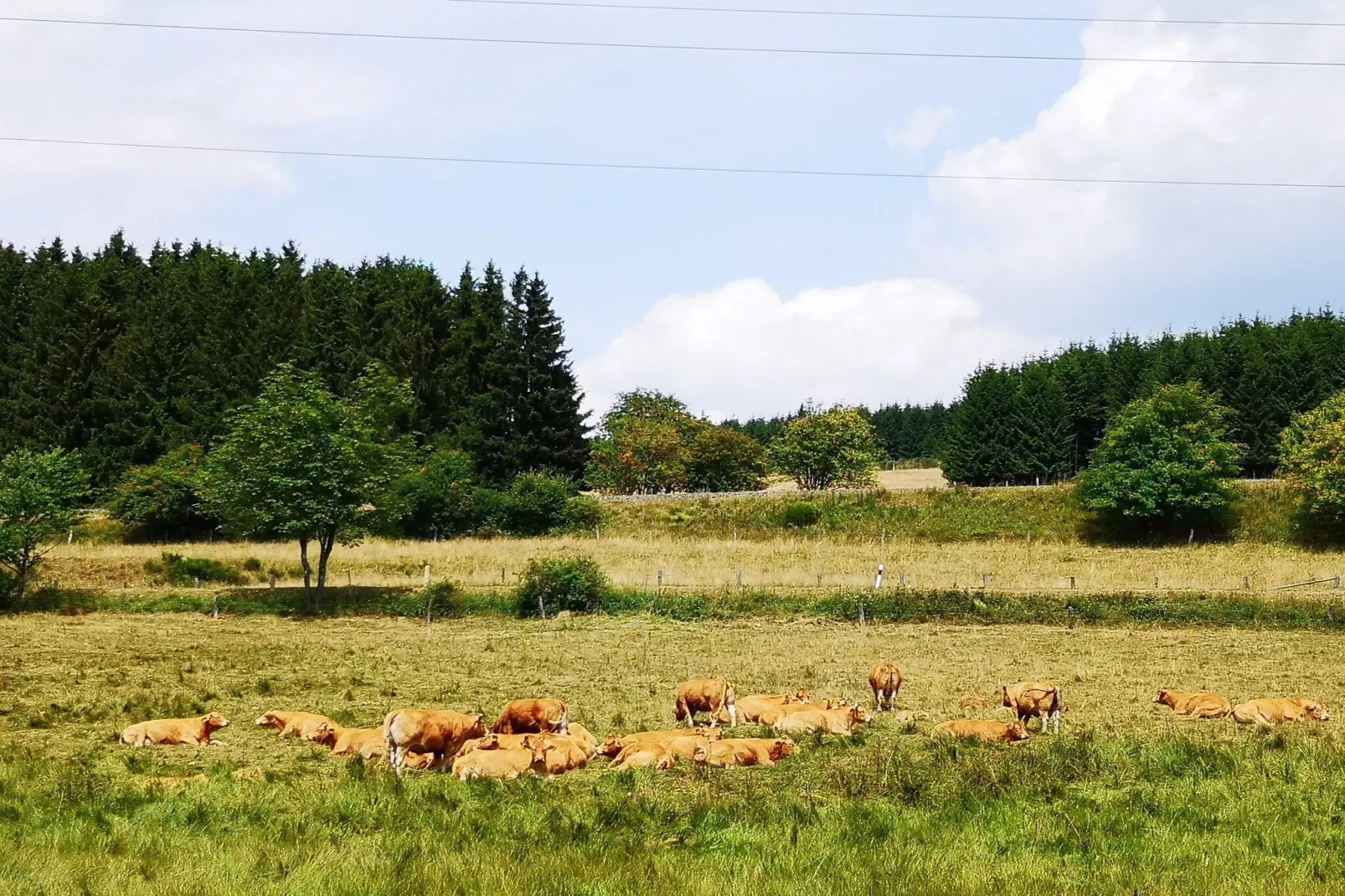 Studio Am Waltenberg 57-S