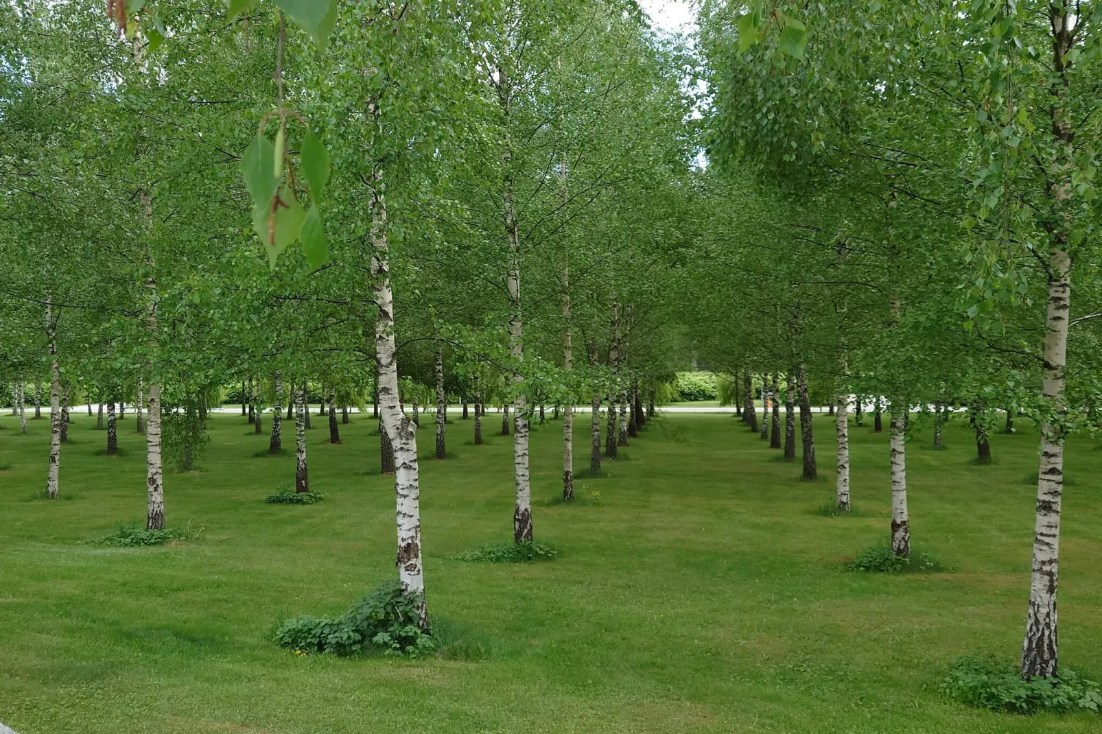 4 etoiles maison de vacances a ENSKEDE-By Traum-Non tagué