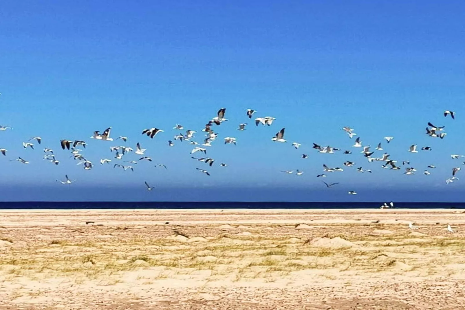 5 star holiday home in Skagen-By Traum-Untagged