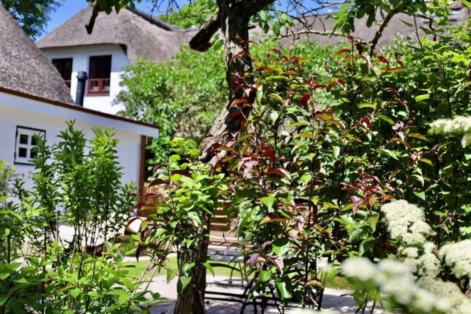 Kapteins Hüüs - ganzes Haus-Living room