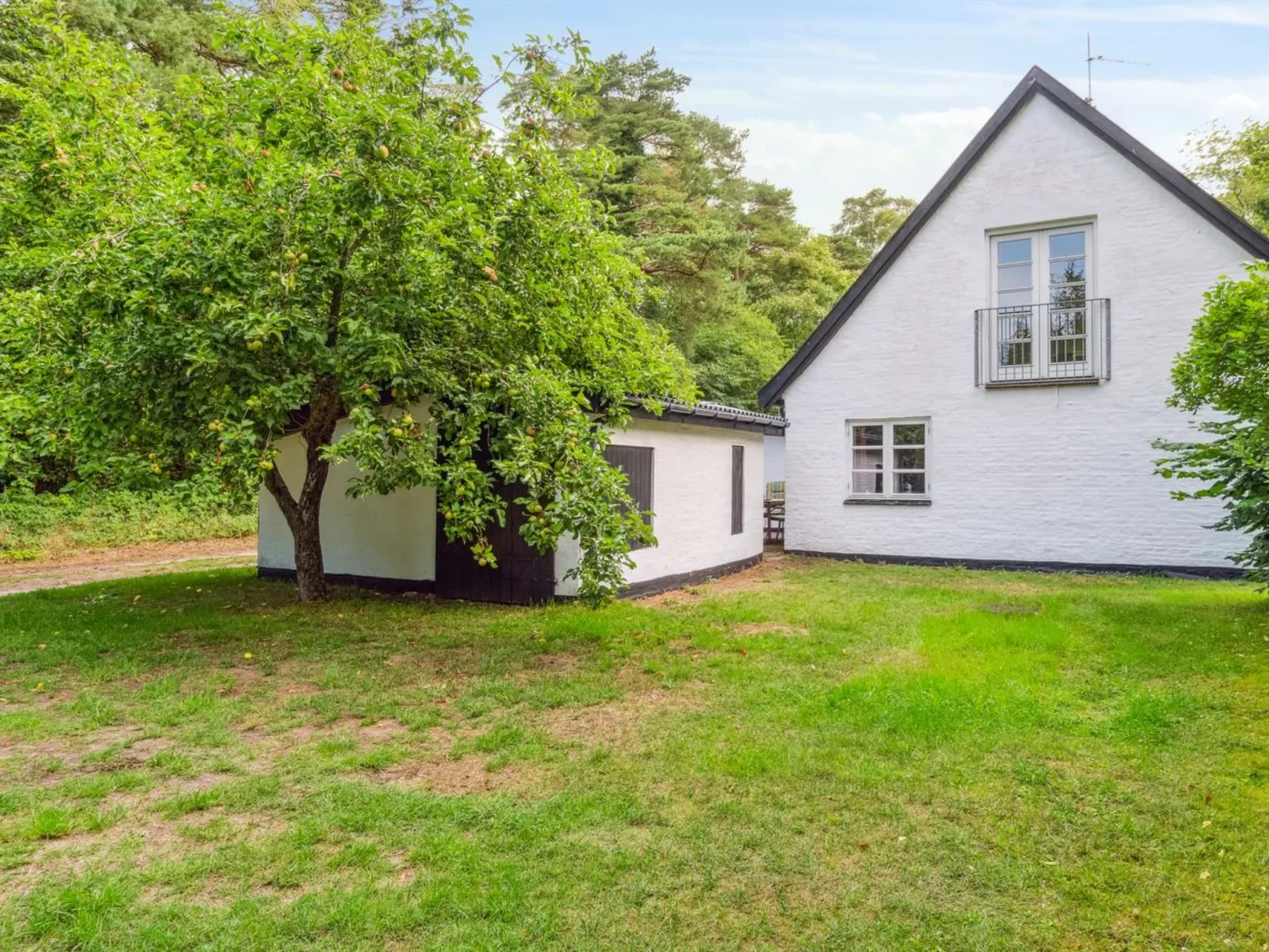 "Rina" - 250m from the sea-Dehors