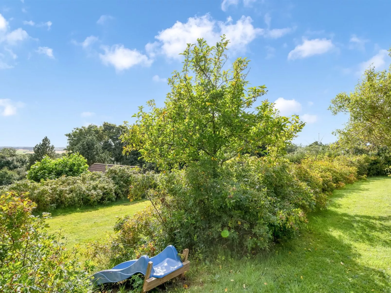 "Dimo" - 300m to the fjord-Outside