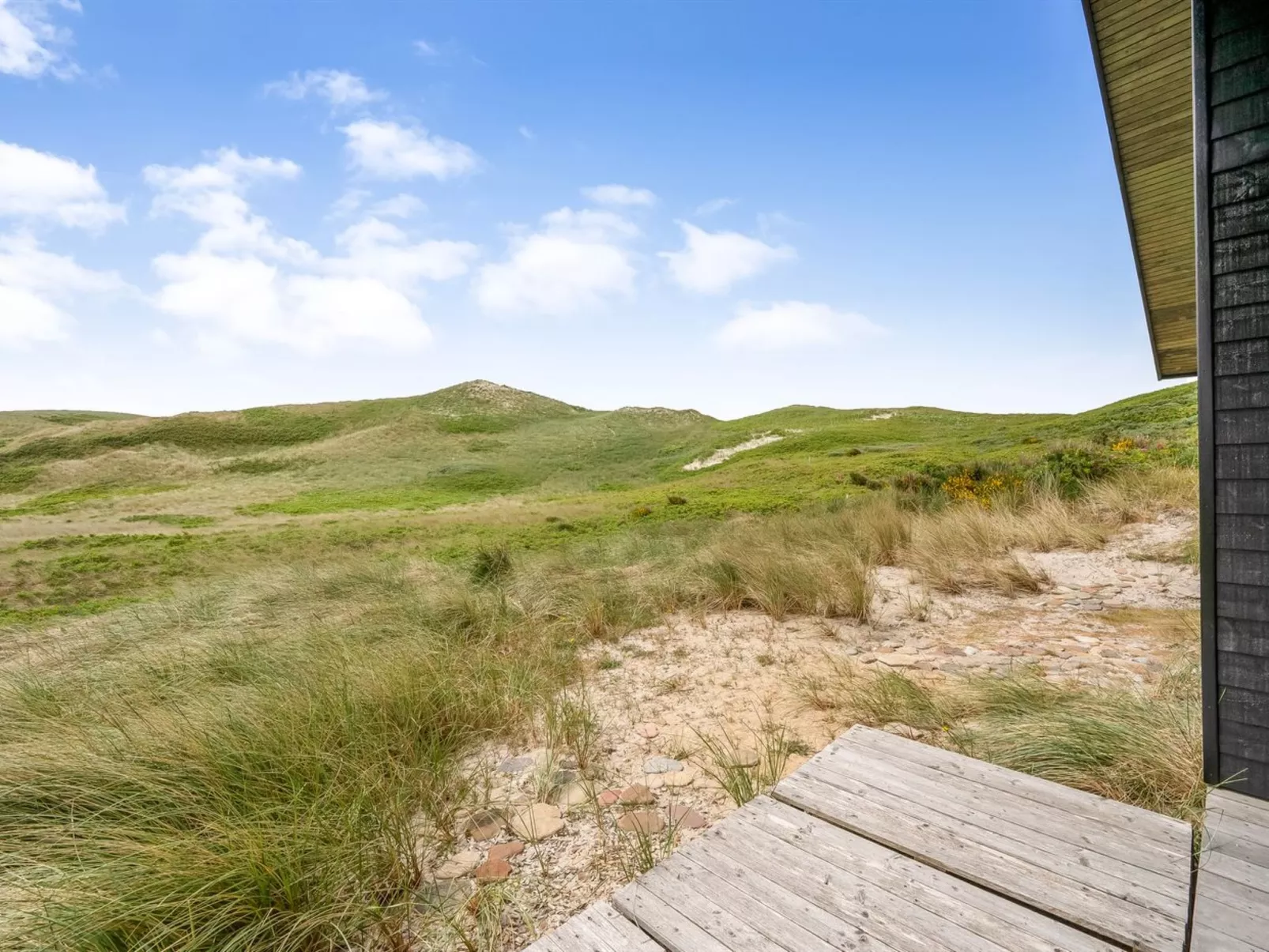 "Apolina" -  from the sea-Draußen