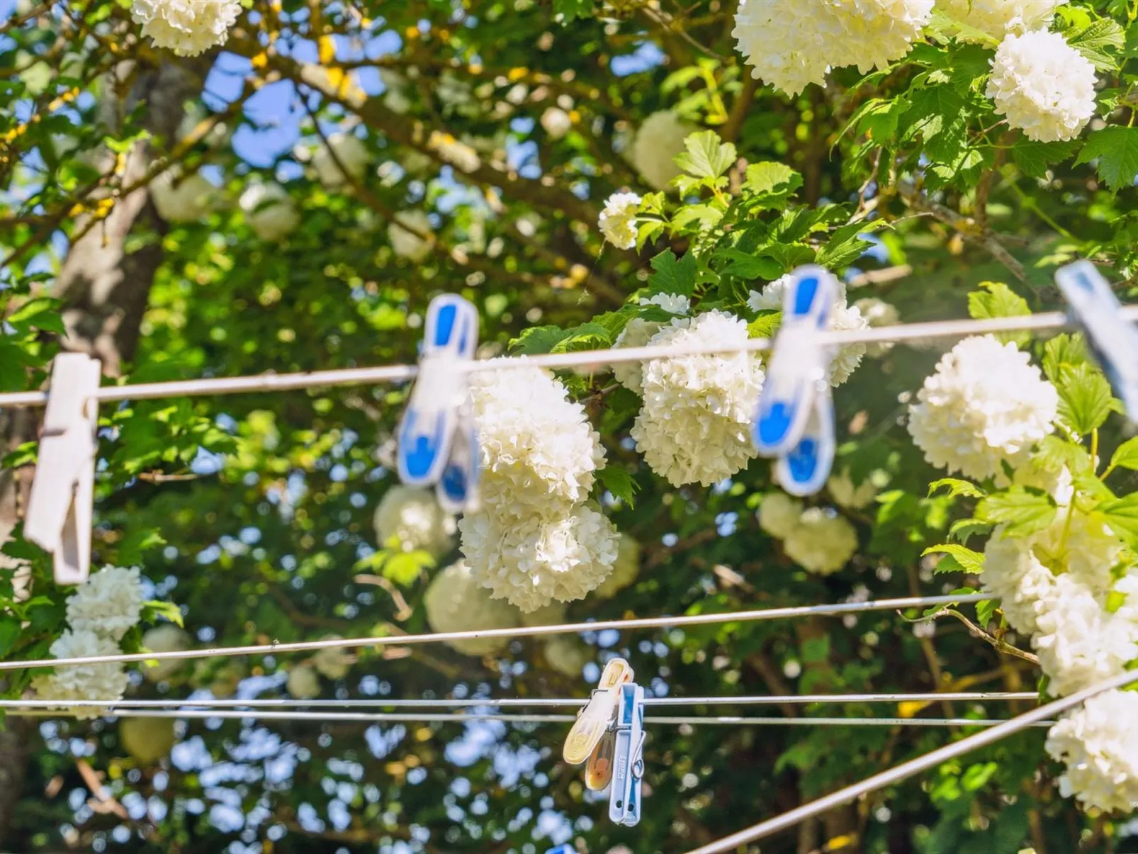 "Benthe" - 200m from the sea-Draußen