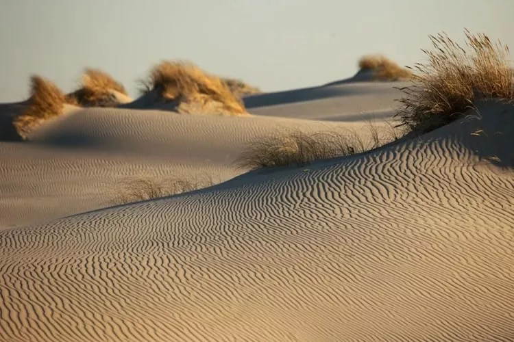 Apartament Piaskowy w Rowach dla max 5 osób-Gebiete Sommer 20 km