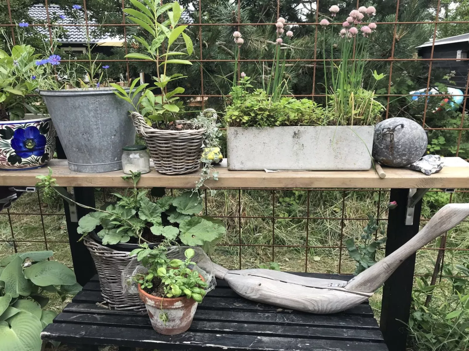 "Elisa" - 600m from the sea-Dehors