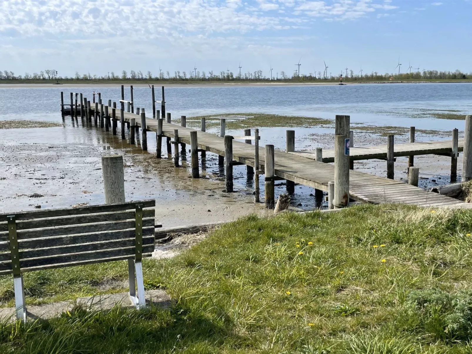 "Thorbiorn" -  from the sea-Draußen