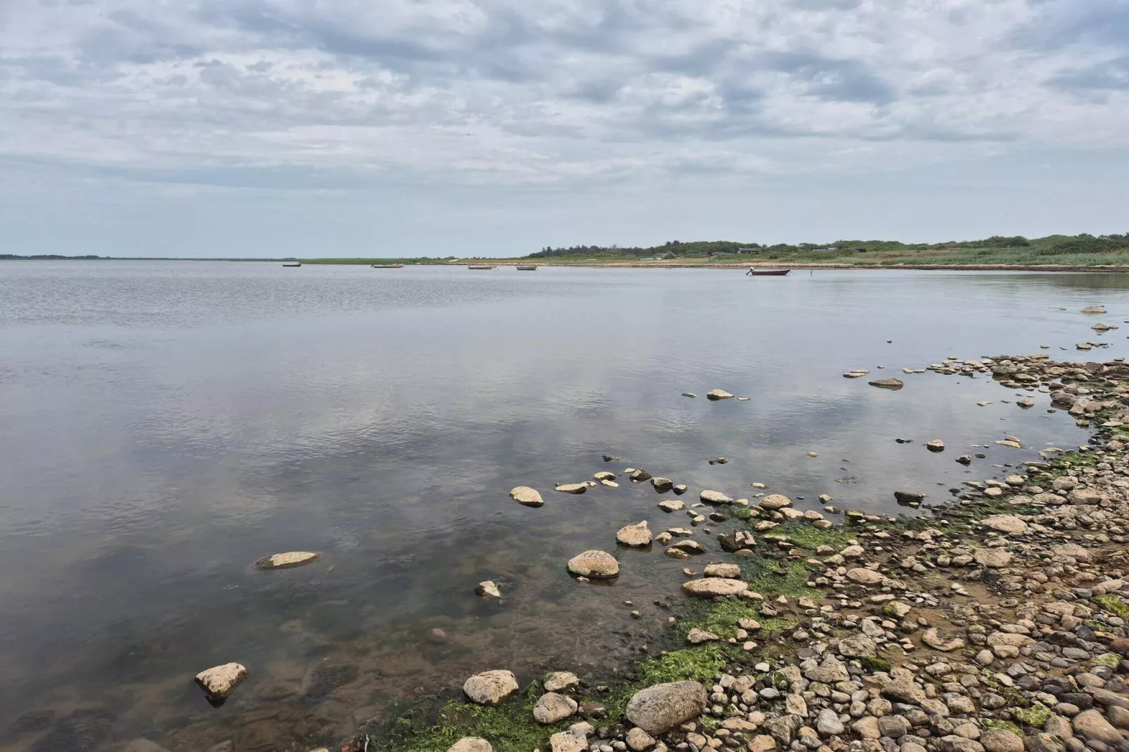 Maison de vacances pour 5 a Tarm-By Traum-Vue sur l'eau