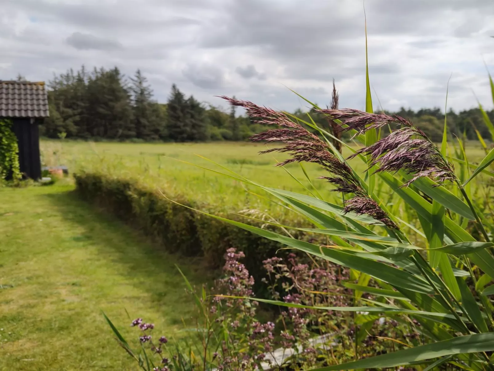 "Cillvur" - 8km from the sea-Outside