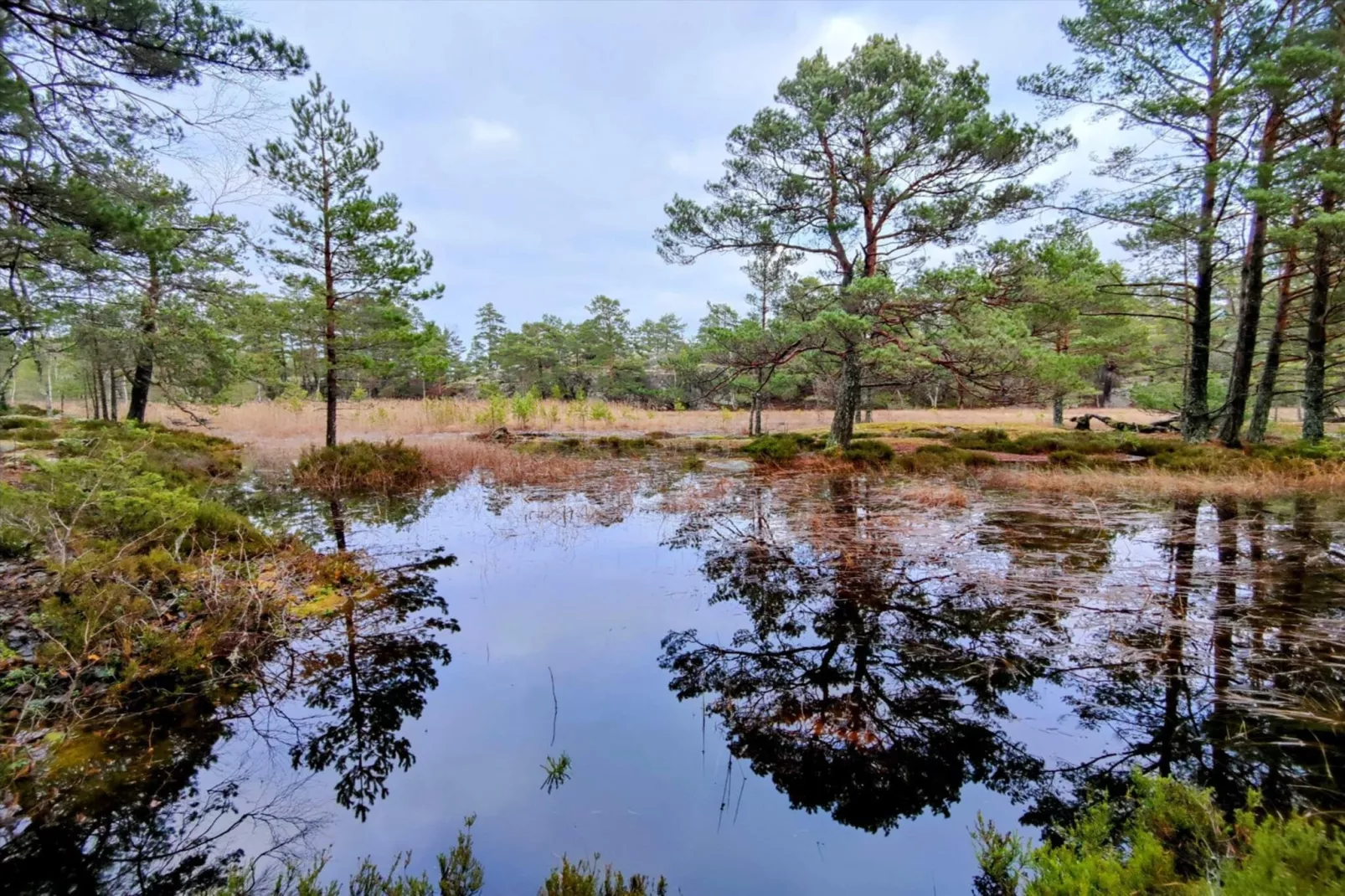 4 star holiday home in VÄRMDÖ
