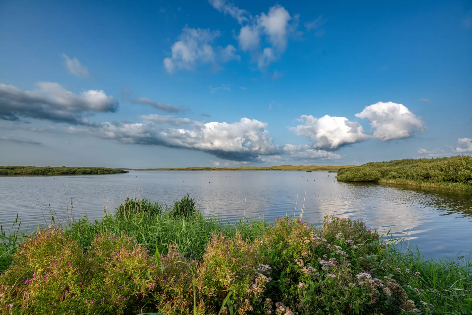 Tipitent de Jutter-Gebiete Sommer 5 km