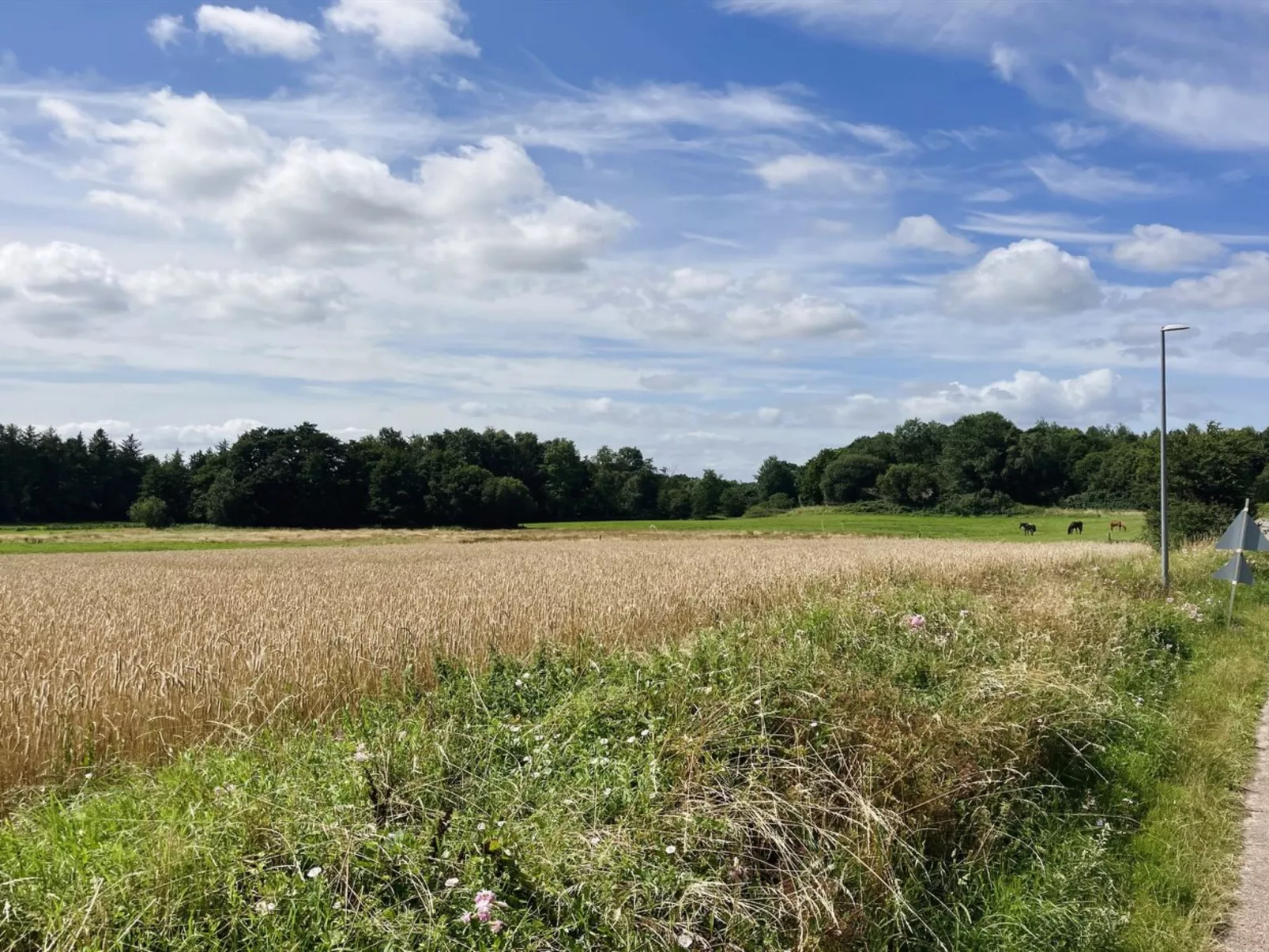 "Thessa" - 4km from the sea-Dehors