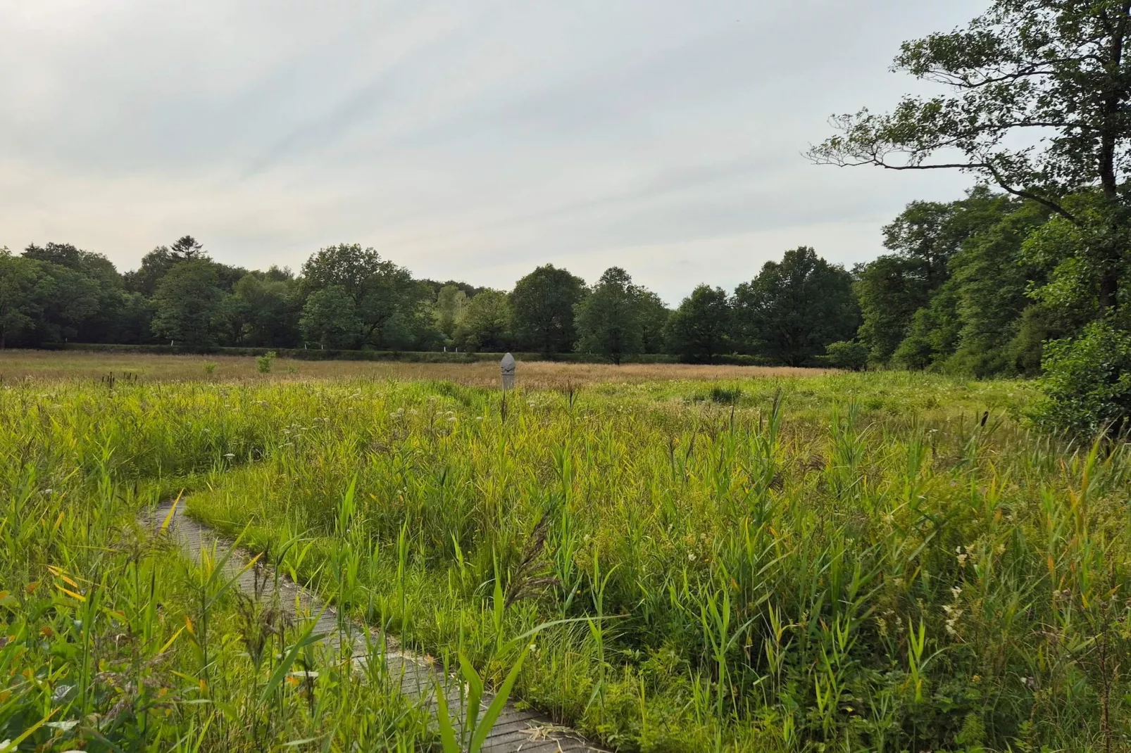 4 Sterne Ferienhaus in Hovborg-By Traum-Nicht zugeordnet
