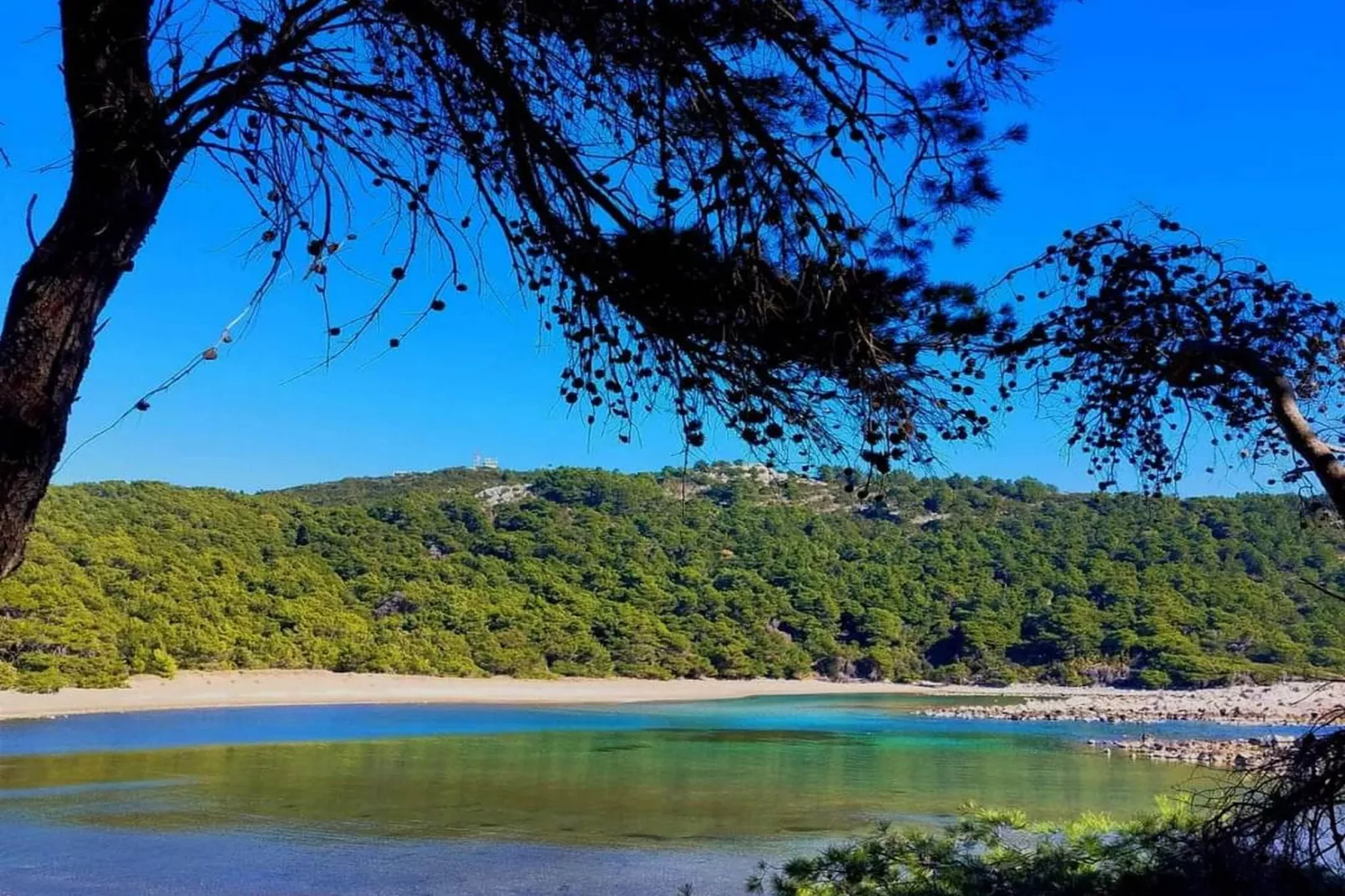 Apartments Franka Saplunara-Triple Room with Terrace and Sea View  No1-Ambiance