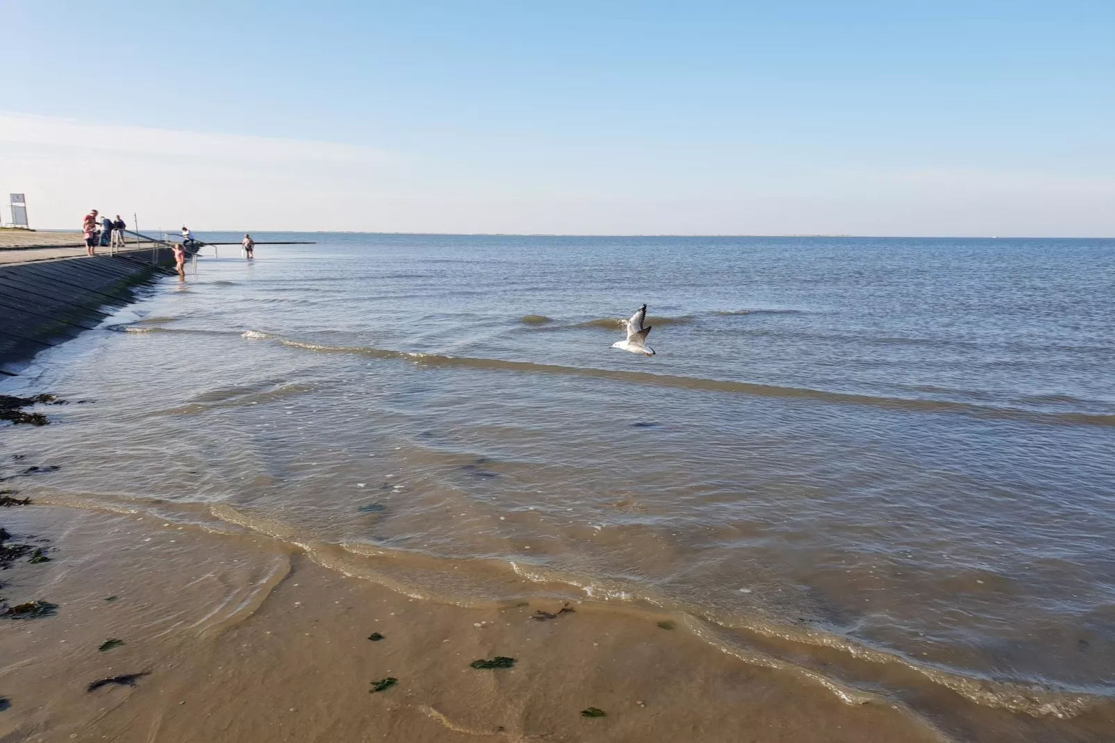 Doppelhaushälfte Nordseerose 125-Areas within 5km in summer