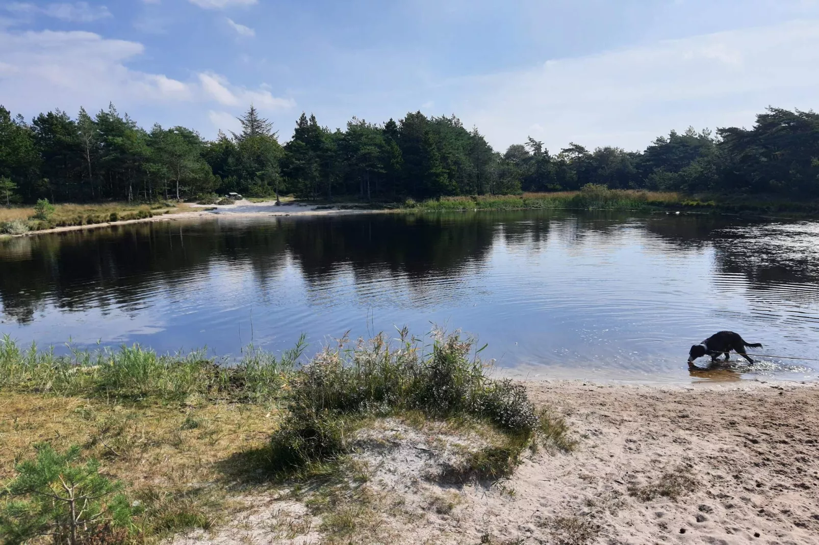 5 Sterne Ferienhaus in Rømø-Wasserblick
